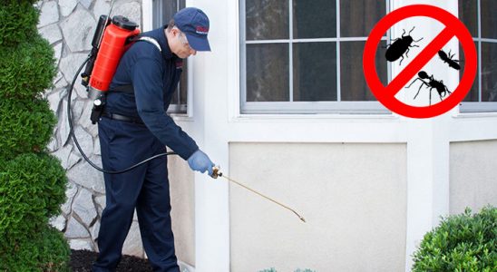 Kağıthane Hamam Böceği İlaçlama böcek ilaçlama ve haşere kontrolü — ilaclama-tr.com